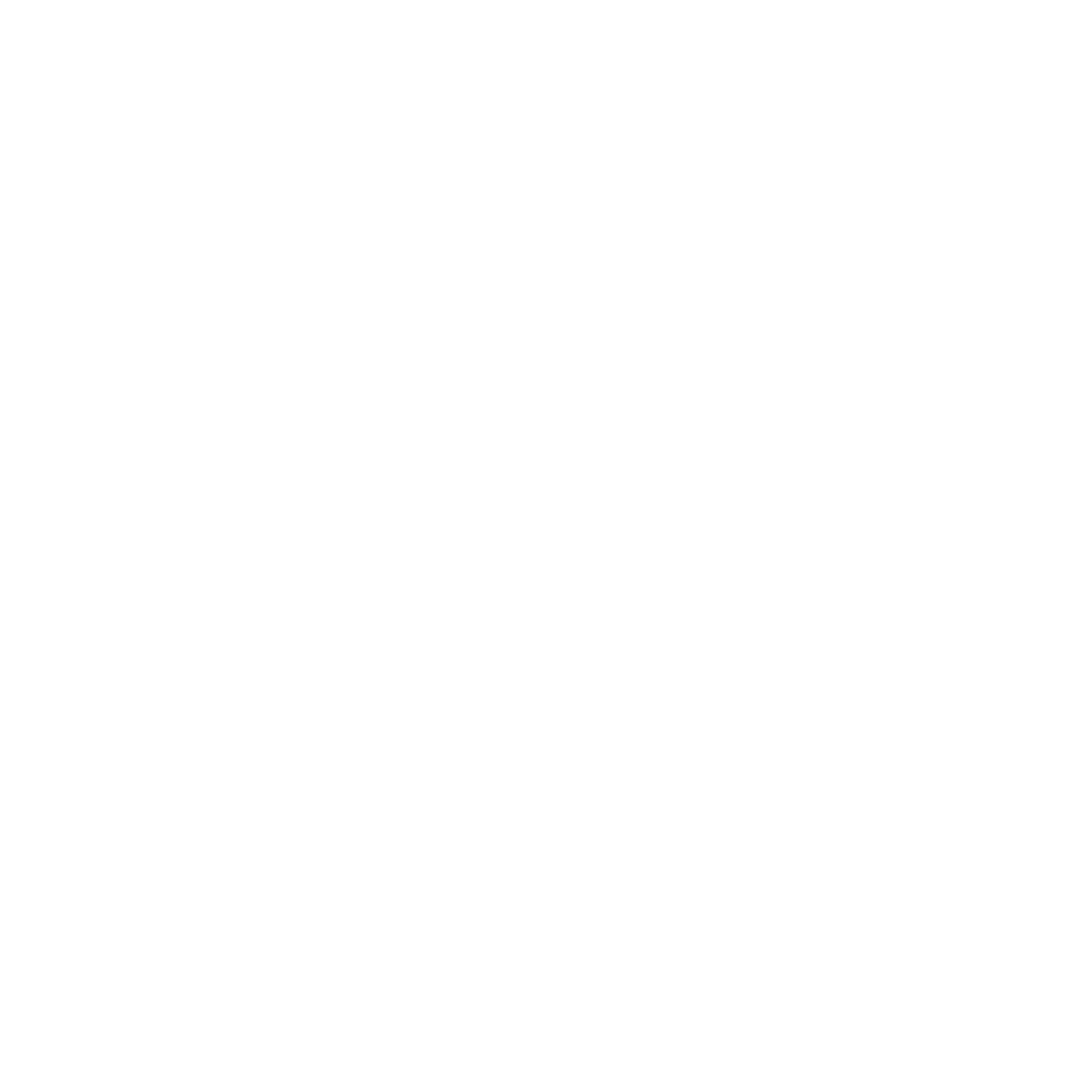 White Raven Milsim logo